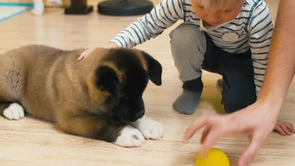 Boy caressing puppy who playing with ball