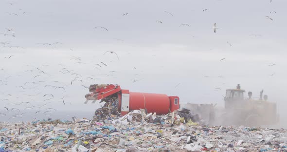 Vehicles clearing rubbish piled on a landfill full of trash alt