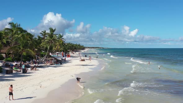 Low altitude forward tracking aerial drone shot of Caribbean tropical beach alt