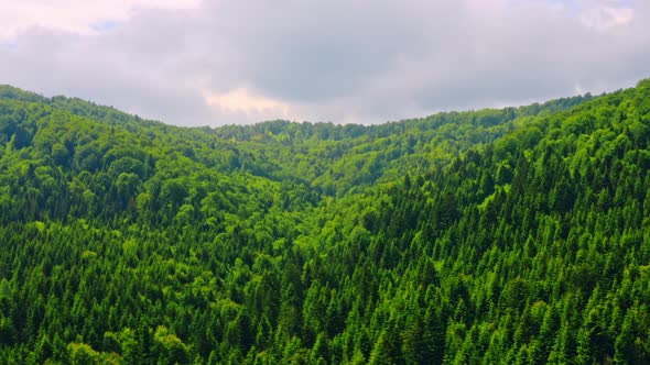 Aerial View on Greenwood Cloudy Day alt