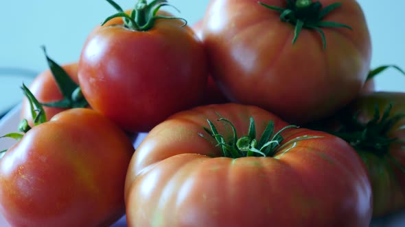 close-up large breakfast tomato, close-up large natural field tomato,	 alt