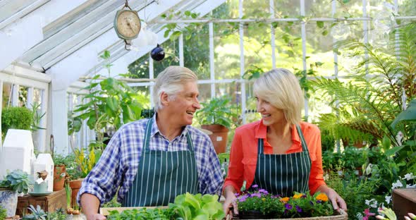 Portrait of mature couple holding pot plant alt