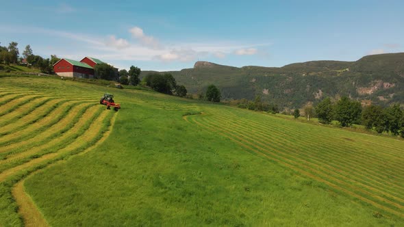 Tractor cutting green foliage crop for silage production, aerial view alt