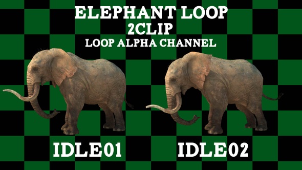 Elephant Idle 2 Clip Loop