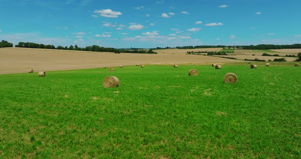 Straw Stacks Stacked Bales of Hay Left Over From Harvesting Crops Field of an Agricultural Farm with alt