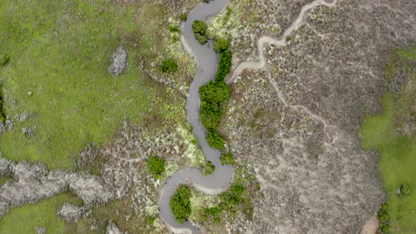 AERIAL DIRECTLY ABOVE Winding Creek Amongst Brackish Wetlands alt