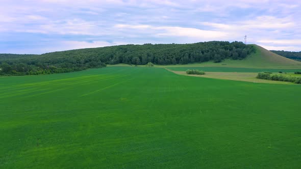 Aerial Top View Drone Flies Over Green Wheat Field alt