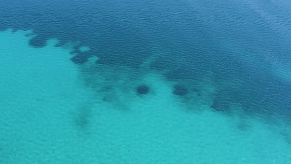 Aerial tilt down of border between sand and seagrass in clear blue sea alt