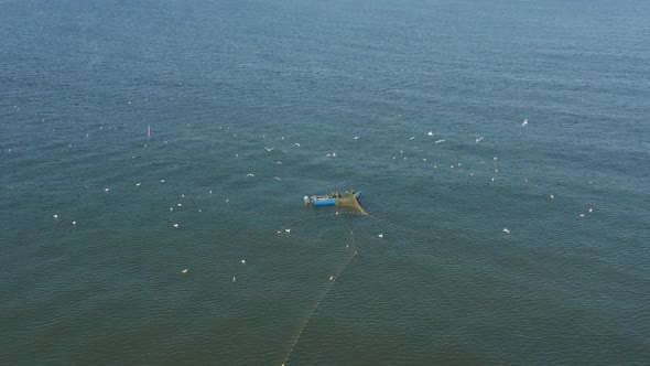 AERIAL: Fishermans Casting Nets in the Sea with Gulls Flying Around Searching for a Fish alt