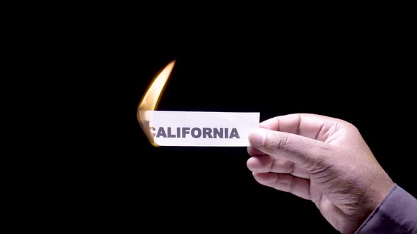 Paper Burning California