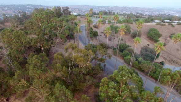 Aerial View Car Drives Down a Road in a Forest Park alt