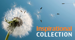 Inspirational collection