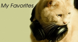 My Public Collection