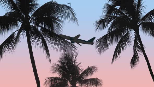Airplane With Palm Trees alt