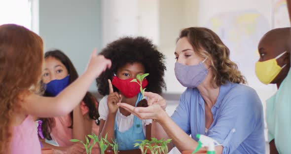 Female teacher wearing face mask showing plant sapling to students in class alt