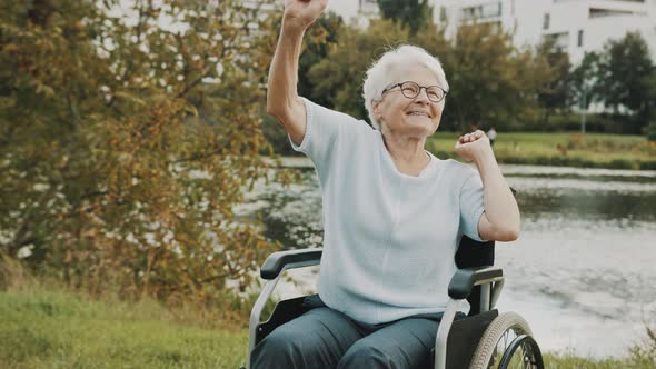 Senior Woman Dancing with Hands in the Wheelchair Near the River on the Autumn Day alt
