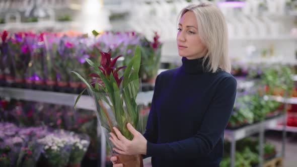 A Woman Chooses an Orchid for Home Gardening alt