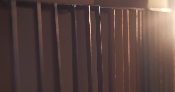 Many Books Organized in Shelves in a Big Bookstore alt