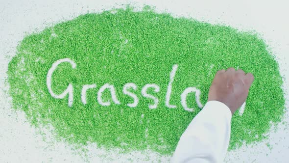 Hand Writes On Green Grassland