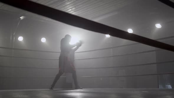 Portrait of boxer in ring alt