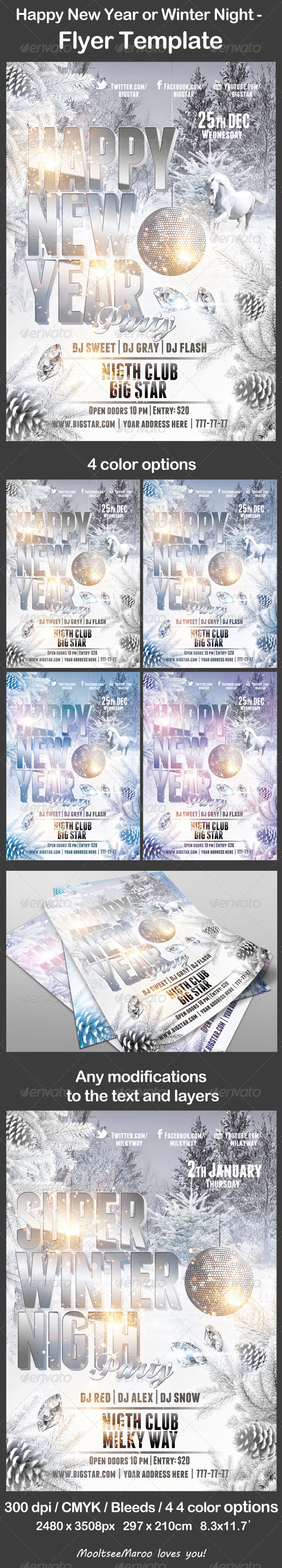 Happy New Year or Winter Night - Flyer Template - Events Flyers