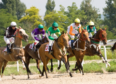 Horse racing