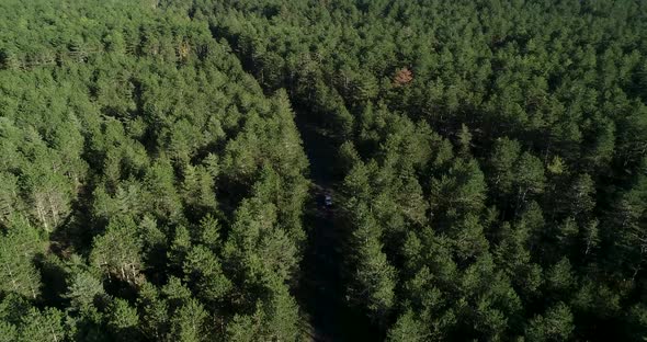 Aerial View of Forest in France