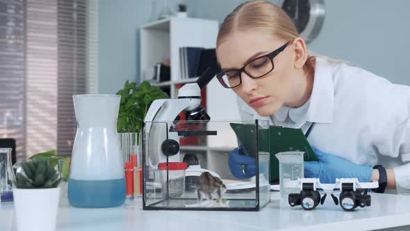 Female Research Scientist Learning Animal Behavior During the Experiment alt