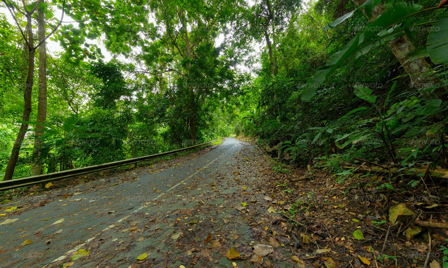 MW3DHDR0009 Abandoned Jungle Road in Thailand by MW3D | 3DOcean