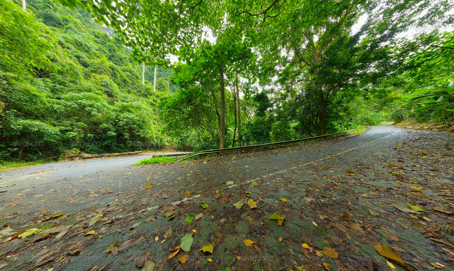 MW3DHDR0009 Abandoned Jungle Road in Thailand by MW3D | 3DOcean