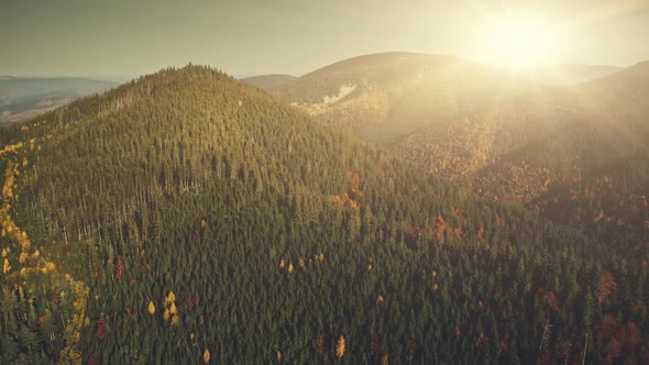 Colorful Mountain Forest Peak Sun Beam Aerial View alt