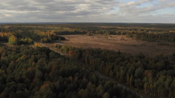 Asphalt road with traffic cars between forest and fields in Ural
