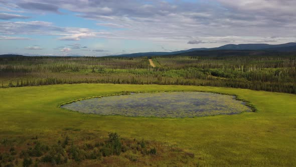 Alaska nature - Aerial orbiting around mossy swamp with a small pond in the middle of spruce dense alt
