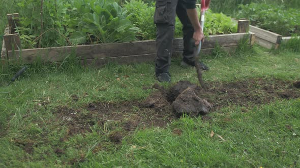 Young man res big rock from garden alt