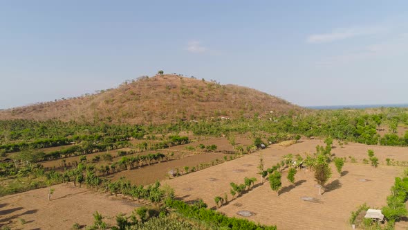 Agricultural Land in Indonesia alt