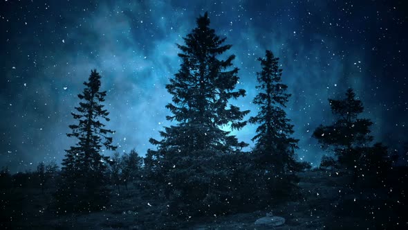 Dark Blue Winter Night Backgrounds