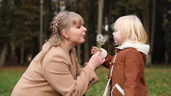 Beautiful Little Baby Girl Blowing on a Dandelion