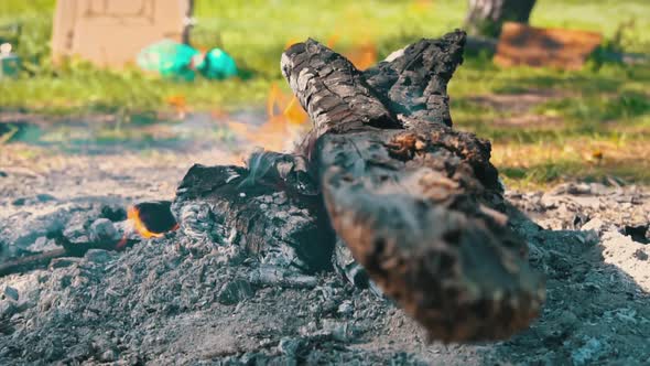 RedHot Charcoal Burns Out in a Fire in Nature alt