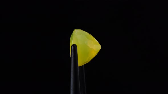 Natural Yellow Fire Opal Gemstone in the Tweezer on the Background alt