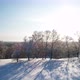 Winter Forest Landscape. - VideoHive Item for Sale