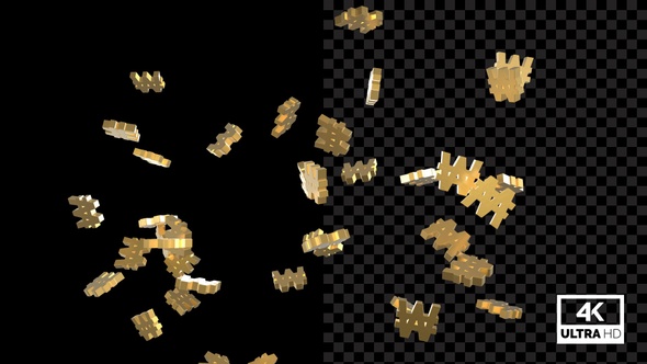 Flying Currency Symbols Won - Golden alt