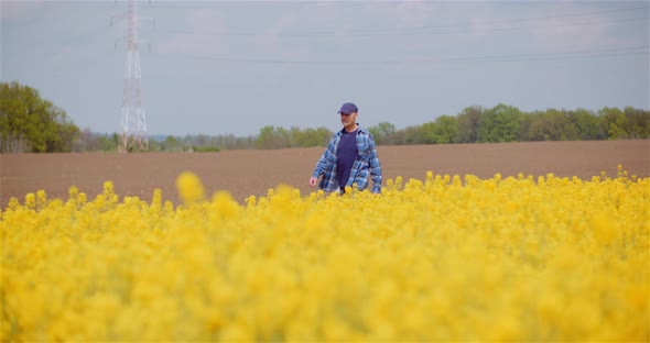 Farmer Checking Crops of Rapeseed Field with Digital Tablet Against Beautiful Yellow Rapeseed Field alt