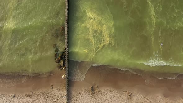 Yellow coniferous pollen in the Baltic Sea, view from a drone alt