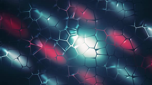 Chloroplast Eukaryotic Cell Animation Under the Microscope alt