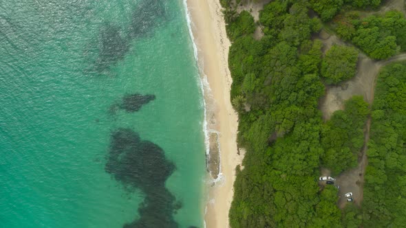 Aerial of beautiful sea coast and green trees, Cap Macre alt