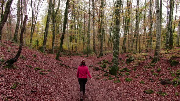 Hiker Woman Walking Through the Forest in Autumn