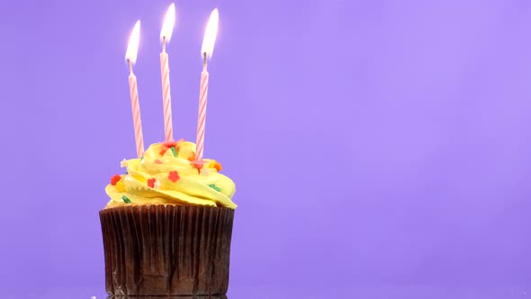 Tasty Birthday Cupcake with Three Candle, on Purple Background alt