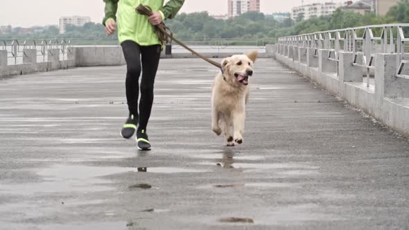 Teenage Boy and Cute Labrador on a Run alt