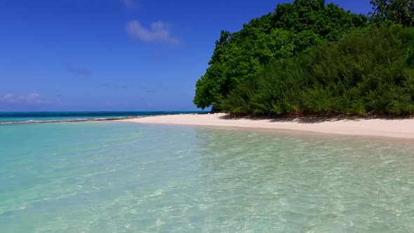 Copy space landscape of lagoon beach by blue water and sand background near palms alt