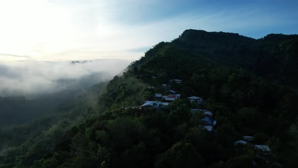 Aerial View of the New Zealand Fjords alt